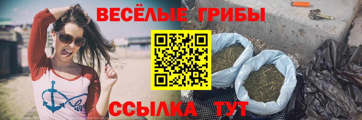 Галлюциногенные грибы Cubensis  Вход с VPN  Кохма 